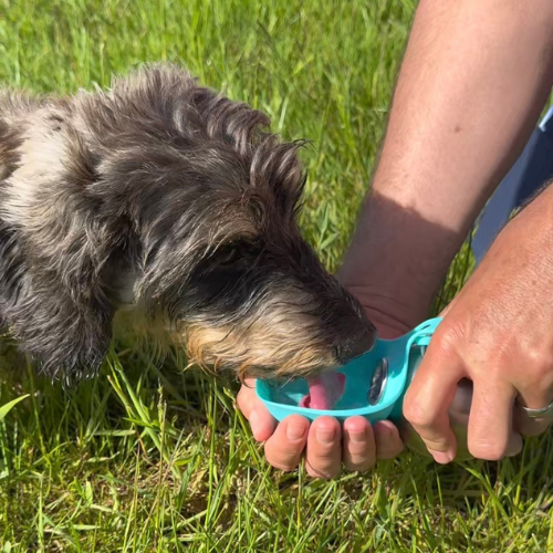 HydriPaw™ Portable Dog Water Bottle